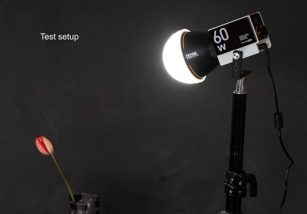 Zhiyun MOLUS G60 Videolicht 60W Standard
