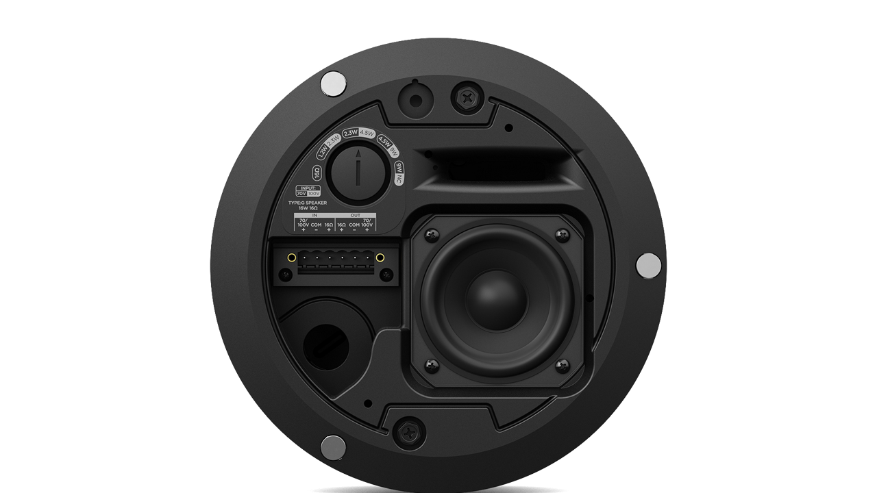 Bose Professional DesignMax DM2C-LP Deckeneinbau Paar weiß