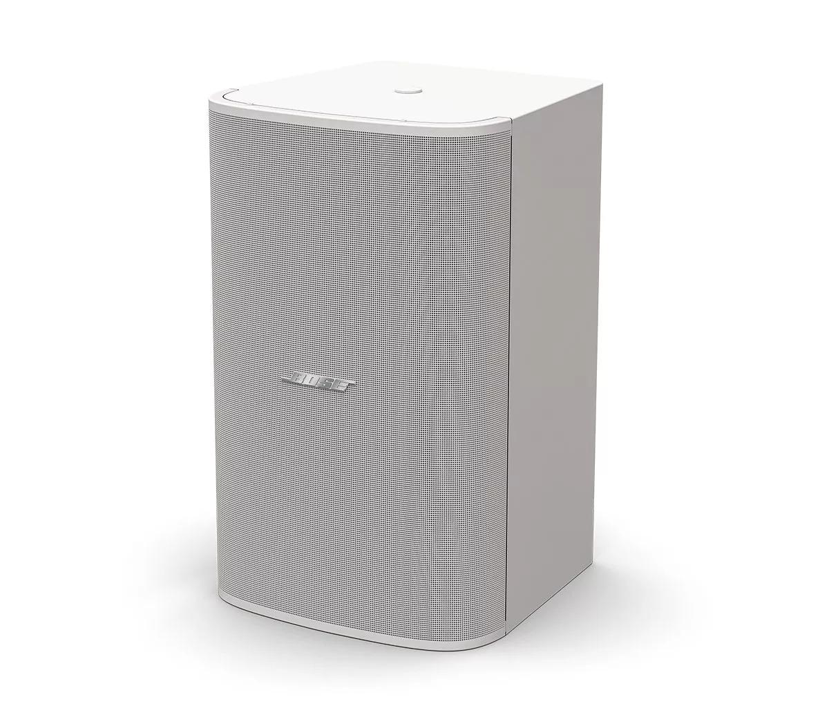 Bose DesignMax DM10S-SUB Subwoofer passiv 10 Zoll