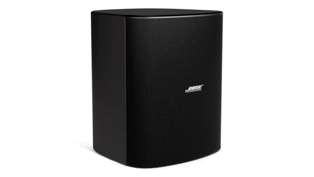 Bose DesignMax DM12SE 12 Zoll Aufbaulautsprecher schwarz