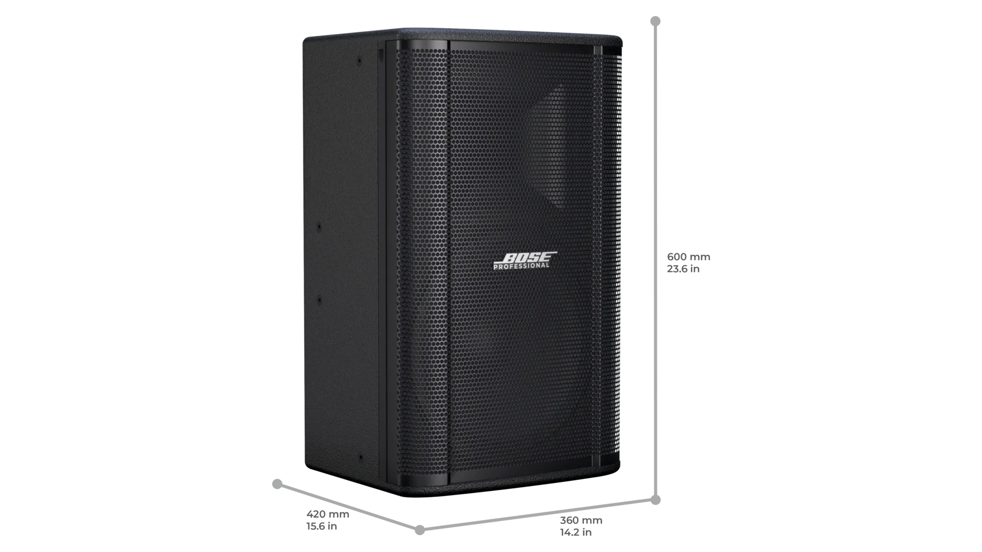 Bose Professional ShowTime SK12 Kinolautsprecher 12 Zoll