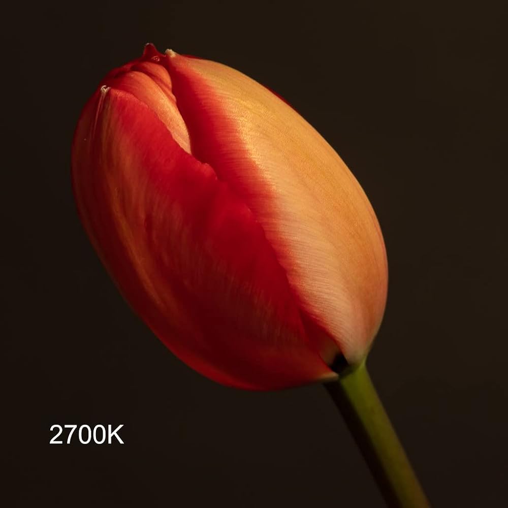 Zhiyun MOLUS G60 Videolicht 60W Standard