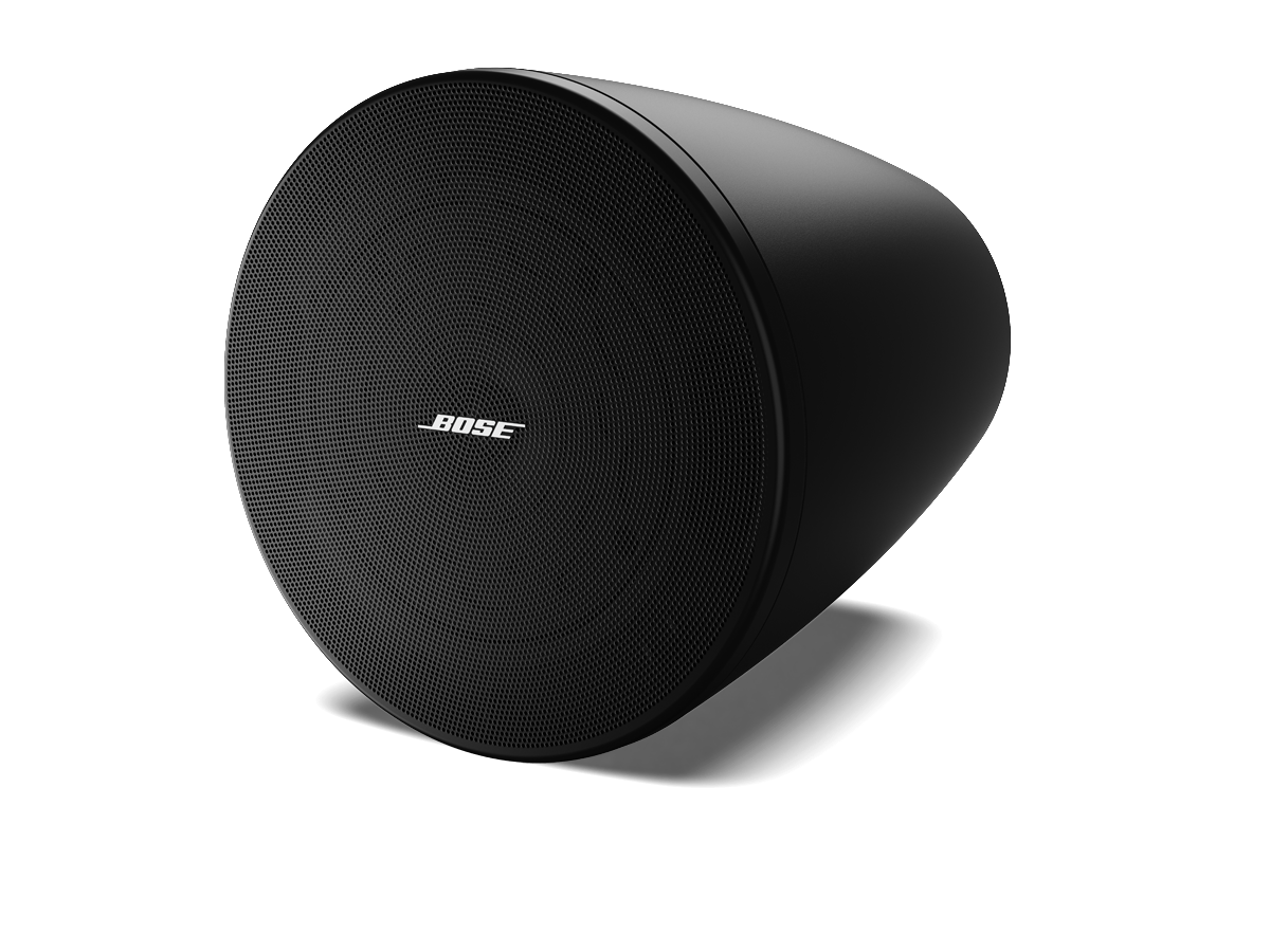Bose Professional DesignMax DM5P Lautsprecher Paar 5 Zoll