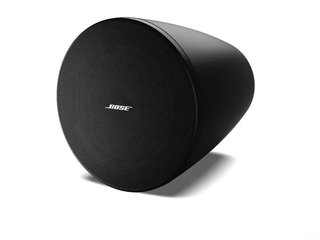 Bose Professional DesignMax DM5P Lautsprecher Paar 5 Zoll