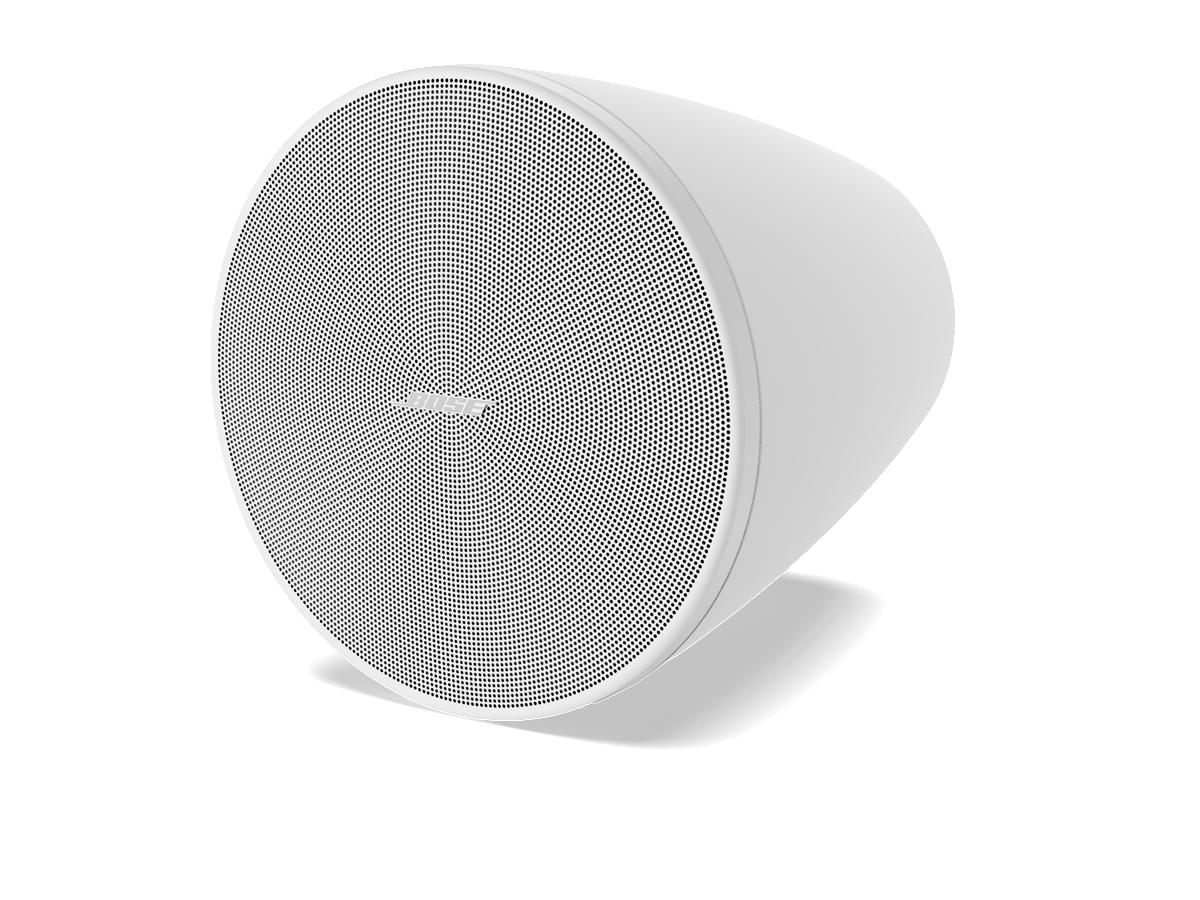Bose Professional DesignMax DM5P Lautsprecher Paar 5 Zoll