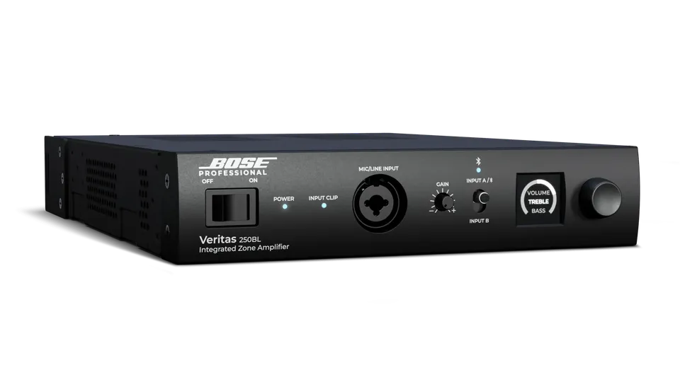 Bose Veritas 250BL Installationslautsprecher schwarz