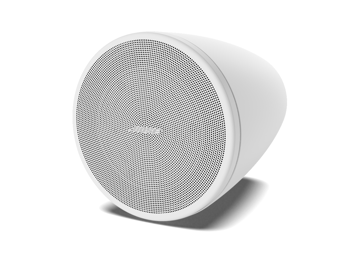 Bose Professional DesignMax DM3P Lautsprecher Paar Pendel