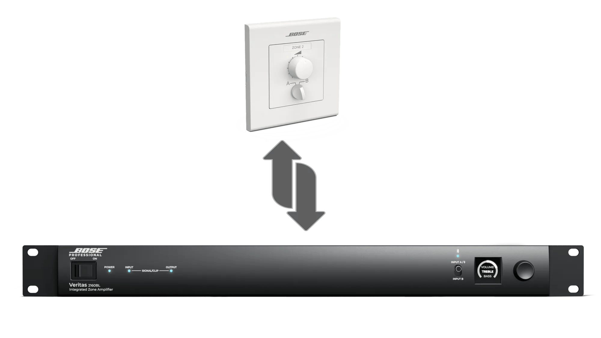 Bose Professional Veritas 2160BL Lautsprecher Schwarz