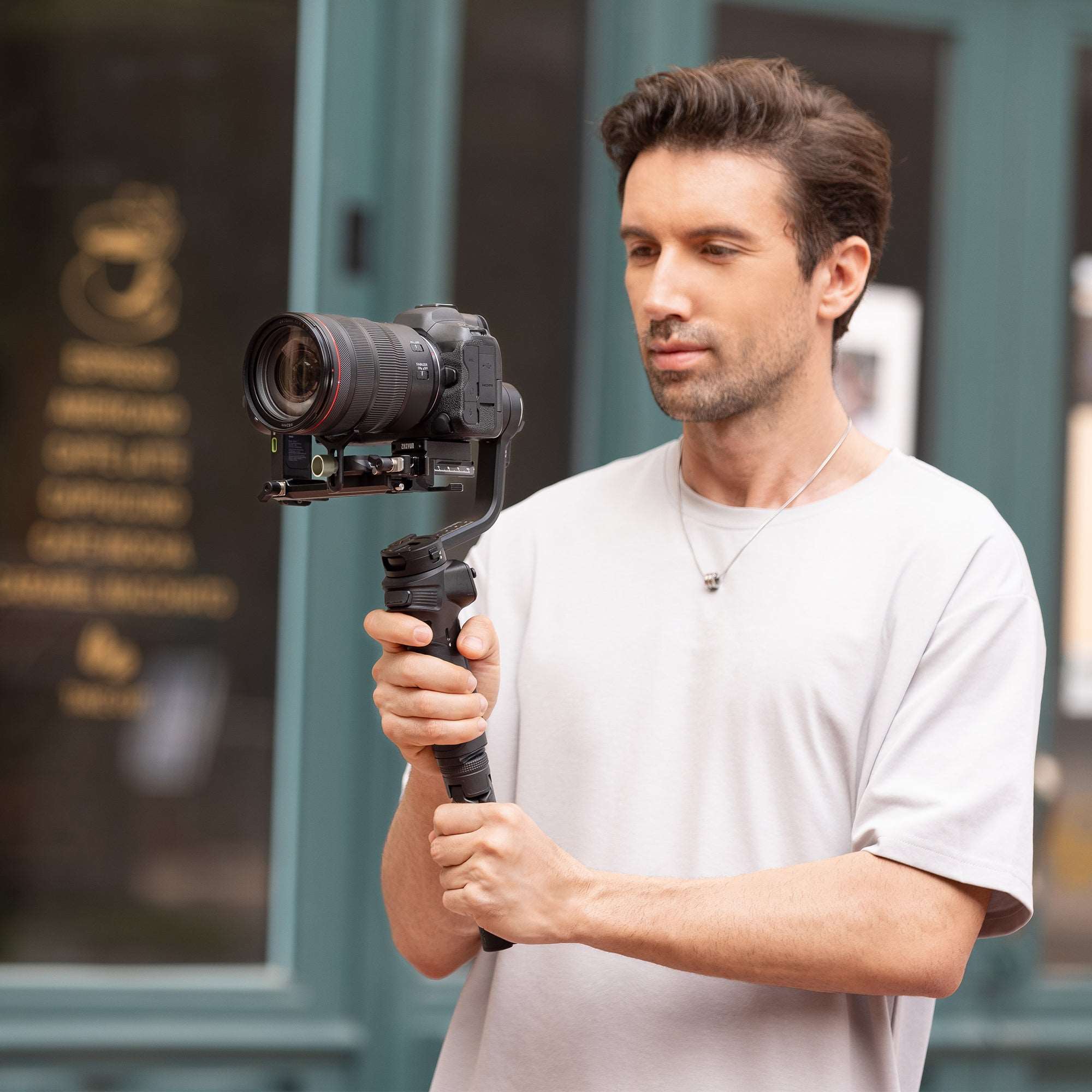 Zhiyun WEEBILL 3S Gimbal Stabilisator Standard mit Licht