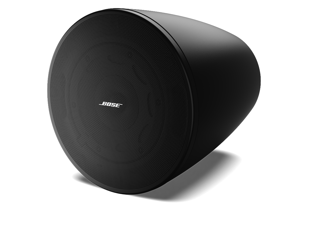 Bose Professional DesignMax DM6PE Hängelautsprecher Paar Outdoor