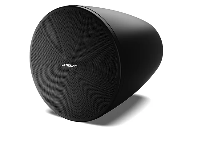 Bose Professional DesignMax DM6PE Hängelautsprecher Paar Outdoor