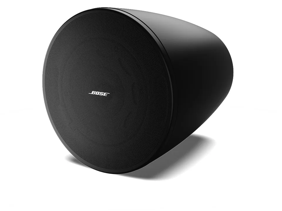 Bose Professional DesignMax DM6PE Hängelautsprecher Paar Outdoor